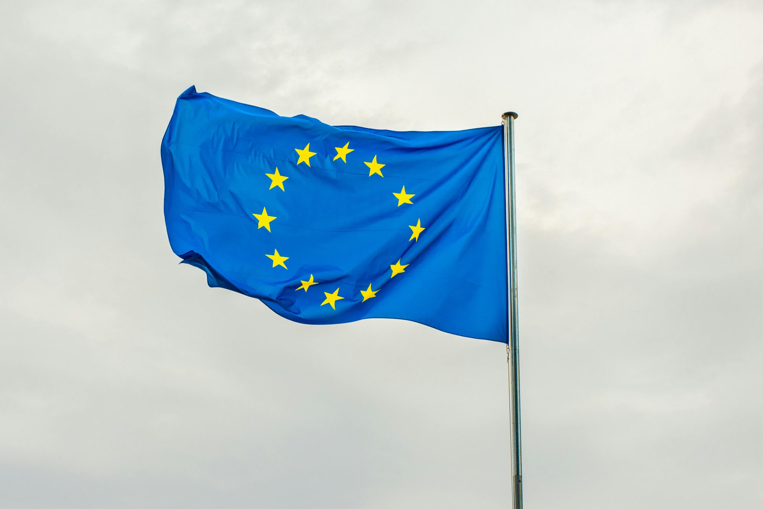 Podcast 2, mit Stefan Selden: Das Truthahngleichnis, Europa und die ESG Regeln
