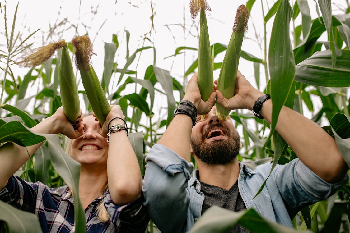 Welternährungstag 2024 – Bio-Landwirtschaft als Schlüssel zur nachhaltigen Welternährung