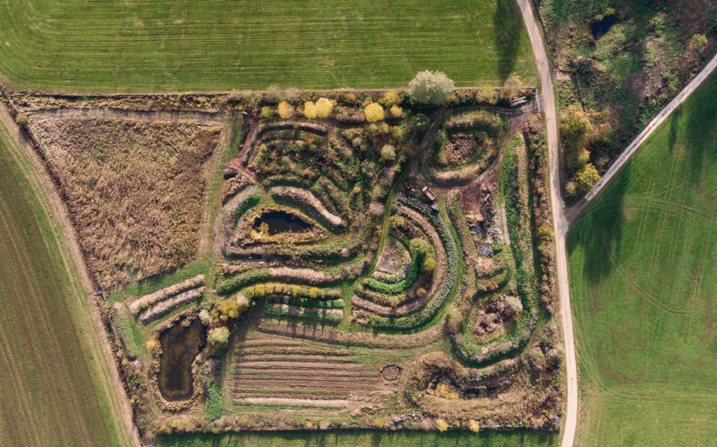 Luftaufnahme einer grünen Landschaft mit Pflanzmustern.