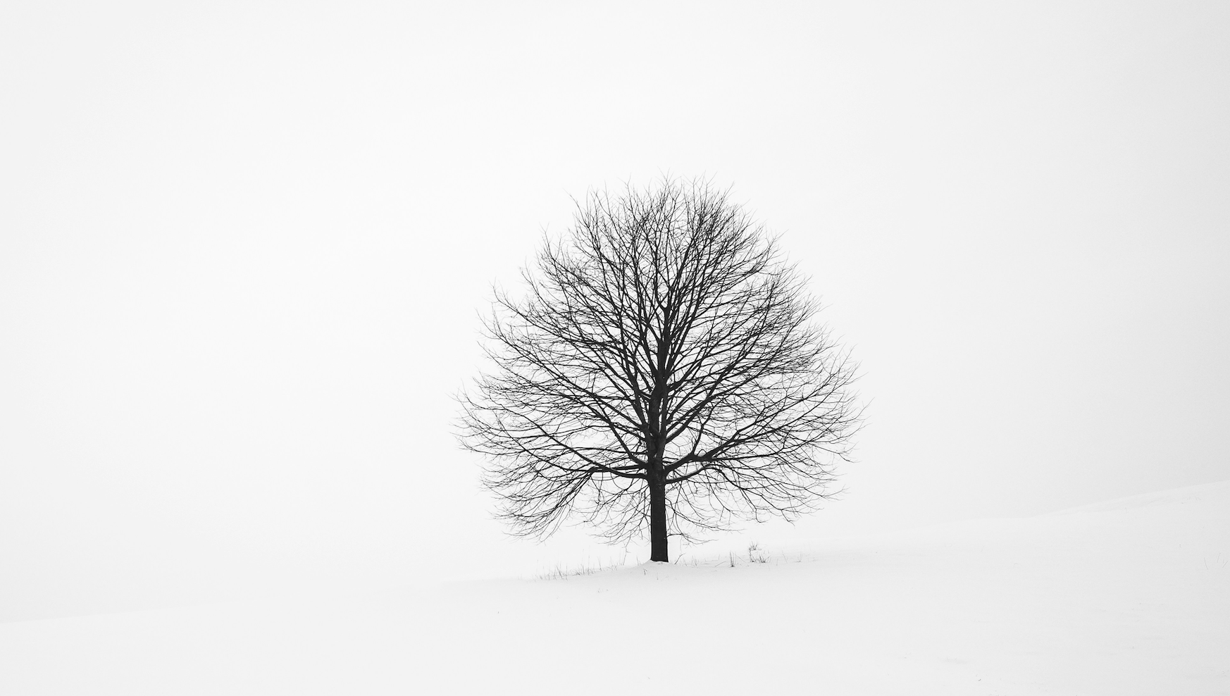 Energiegemeinschaften: Europas Winterkrise macht das Ö- Modell zum Vorbild
